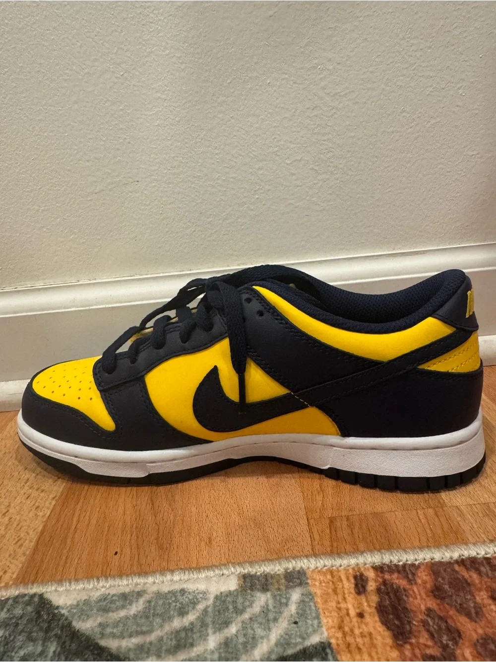 Nike Dunk University of Michigan